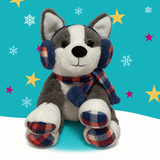 Bruno (2025 Young Lives vs Cancer Puppy)