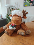 Rudy (2026 Young Lives vs Cancer Reindeer)