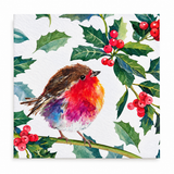 Holly Robin Christmas cards (pack of 10)